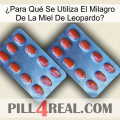 ¿Para Qué Se Utiliza El Milagro De La Miel De Leopardo 05